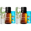 Tea Tree (Supreme)