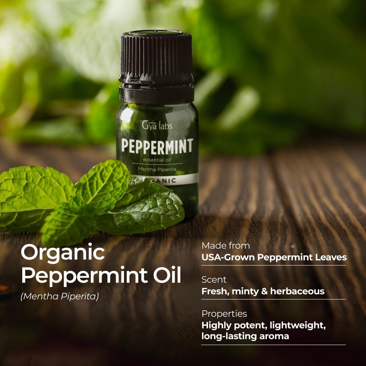 image:imageOrganic Bay Laurel Leaf Essential Oil 034 Fl Oz for Skin and HairPeppermint