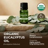 Organic Bay Laurel Leaf Essential Oil 0.34 Fl Oz – for Skin and Hair(Eucalyptus)