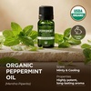 Organic Bay Laurel Leaf Essential Oil 0.34 Fl Oz – for Skin and Hair(Peppermint)