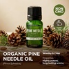 Organic Bay Laurel Leaf Essential Oil 0.34 Fl Oz – for Skin and Hair(Pine Needle)