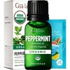 Organic Bay Laurel Leaf Essential Oil 0.34 Fl Oz – for Skin and Hair(Peppermint)