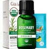 Organic Bay Laurel Leaf Essential Oil 0.34 Fl Oz – for Skin and Hair(Rosemary)