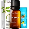Eucalyptus Essential Oil & Lemon Essential Oil for Diffuser Set – Aromatherapy Grade Essential Oils Set – 2×0.34 fl oz – Gya Labs