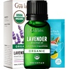 Lemon Essential Oil for Diffuser & Organic Lavender Oil Essential Oil for Diffuser Set- Aromatherapy Grade Essential Oils Set – 2×0.34 fl oz – Gya Labs