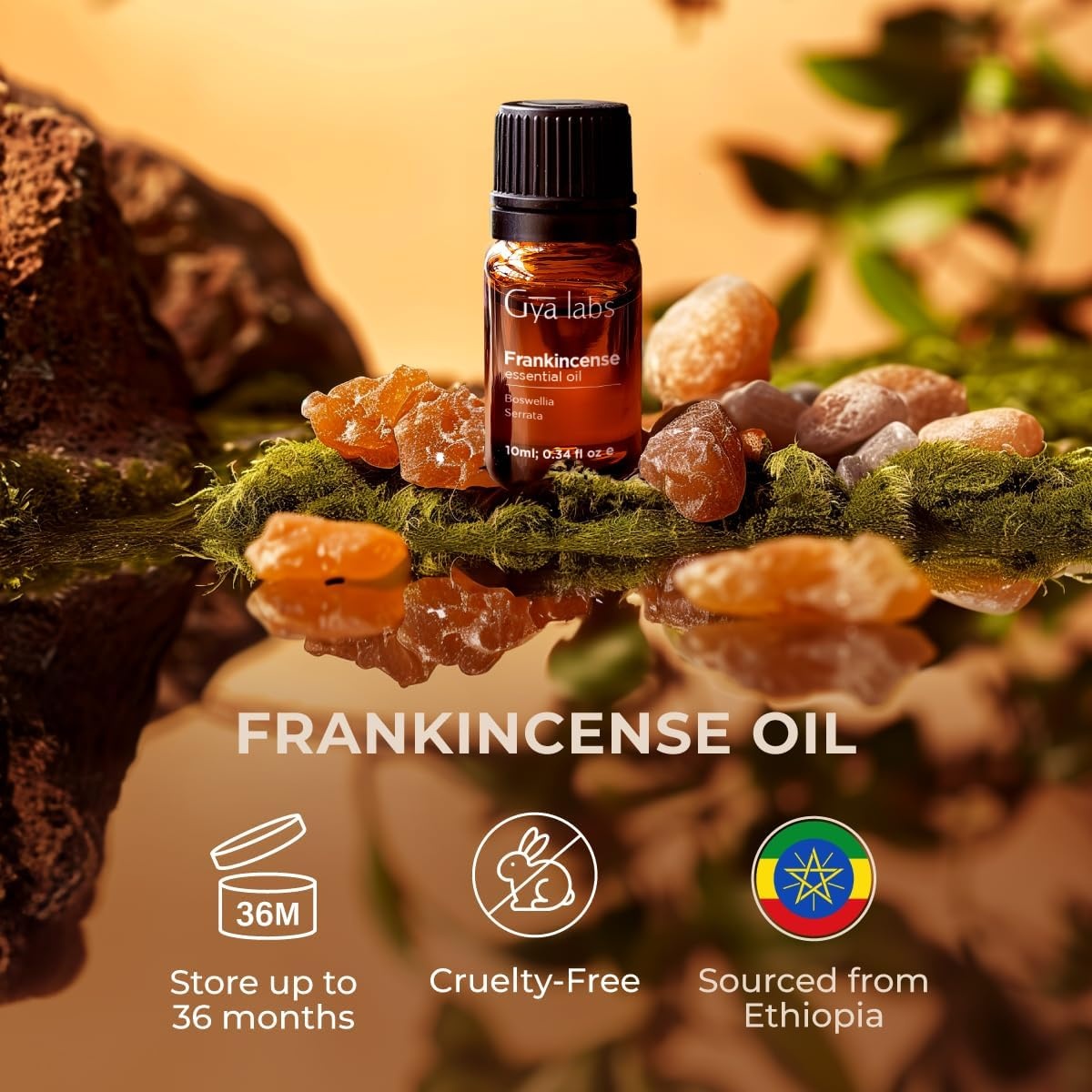 image:imageFrankincense Oil for Skin amp Lavender Essential Oil for Diffuser Set Aromatherapy Grade Essential Oils Set 2x034 fl oz Gya Labs