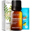 Frankincense Oil for Skin & Peppermint Oil for Hair Set – Aromatherapy Grade Essential Oils Set – 2×0.34 fl oz – Gya Labs