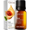 Gya Labs Mace Essential Oil for Skin – 0.34 Fl Oz – 100% Natural Mace Oil for Hair, Diffuser, Massage, Candle Making & DIY – Sweet & Spicy Scent