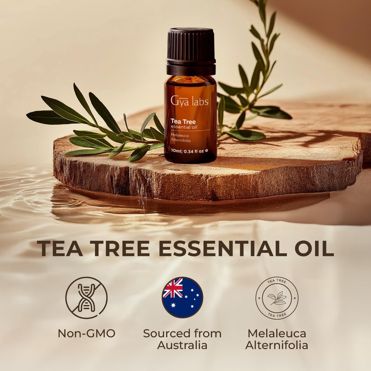 image:imageManuka Essential Oil for Nail amp Tea Tree Oil for Skin Set Aromatherapy Grade Essential Oils Set 2x10ml Gya Labs