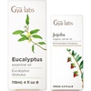 Eucalyptus Essential Oil for Diffuser (4 fl oz) & Jojoba Oil for Skin (3.4 fl oz) Set – Aromatherapy Grade Essential Oils Set – Gya Labs
