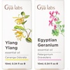Ylang Ylang Essential Oil for Skin & Geranium Oil for Skin Set – Aromatherapy Grade Essential Oils Set – 2x10ml – Gya Labs
