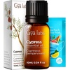 Cypress Essential Oil for Diffuser & Ylang-Ylang Essential Oil for Diffuser Set – Aromatherapy Grade Essential Oils Set – 2×0.34 fl oz – Gya Labs