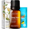 Cypress Essential Oil for Diffuser & Ylang-Ylang Essential Oil for Diffuser Set – Aromatherapy Grade Essential Oils Set – 2×0.34 fl oz – Gya Labs