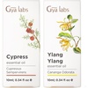 Cypress Essential Oil for Diffuser & Ylang-Ylang Essential Oil for Diffuser Set – Aromatherapy Grade Essential Oils Set – 2×0.34 fl oz – Gya Labs