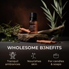 Agarwood Essential Oil for Skin, Hair & Diffuser – 0.34 Fl Oz(Cinnamon Cassia)