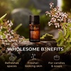 Agarwood Essential Oil for Skin, Hair & Diffuser – 0.34 Fl Oz(Lemon Verbena)