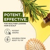 Agarwood Essential Oil for Skin, Hair & Diffuser – 0.34 Fl Oz(Rosemary)