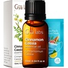 Cinnamon Cassia & Myrrh Essential Oil Set – Aromatherapy Grade Essential Oils Set – 2×0.34 fl oz – Gya Labs