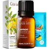 Orange Essential Oil for Diffuser & Lemon Essential Oil for Diffuser Set – Aromatherapy Grade Essential Oils Set – 2×0.34 fl oz – Gya Labs