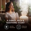 Vanilla Essential Oil for Skin & Orange Essential Oil for Diffuser Set – Aromatherapy Grade Essential Oils Set – 2×0.34 fl oz – Gya Labs