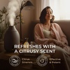 Vanilla Essential Oil for Skin & Orange Essential Oil for Diffuser Set – Aromatherapy Grade Essential Oils Set – 2×0.34 fl oz – Gya Labs