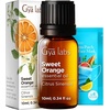 Vanilla Essential Oil for Skin & Orange Essential Oil for Diffuser Set – Aromatherapy Grade Essential Oils Set – 2×0.34 fl oz – Gya Labs