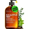 Gya Labs Soothing Muscle Massage Oil for Massage Therapy, Body Oil 6.76 OZ(Eucalyptus Mint)