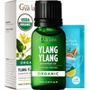 Organic Ylang Ylang Essential Oil for Diffuser & Patchouli Essential Oil for Diffuser Set – Aromatherapy Grade Essential Oils Set – 2×0.34 fl oz – Gya Labs