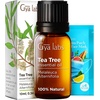 Lavender Oil Essential Oil for Diffuser & Tea Tree Oil for Skin Set – Aromatherapy Grade Essential Oils Set – 2×0.34 fl oz – Gya Labs