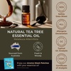 Lavender Oil Essential Oil for Diffuser & Tea Tree Oil for Skin Set – Aromatherapy Grade Essential Oils Set – 2×0.34 fl oz – Gya Labs