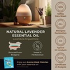 Lavender Oil Essential Oil for Diffuser & Tea Tree Oil for Skin Set – Aromatherapy Grade Essential Oils Set – 2×0.34 fl oz – Gya Labs