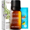 Lavender Oil Essential Oil for Diffuser & Tea Tree Oil for Skin Set – Aromatherapy Grade Essential Oils Set – 2×0.34 fl oz – Gya Labs