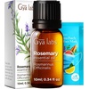 Rosemary Oil for Hair & Peppermint Oil for Diffuser Set – Aromatherapy Grade Essential Oils Set – 2×0.34 fl oz – Gya Labs