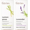 Lemongrass Essential Oil for Diffuser & Lavender Essential Oil for Diffuser Set – Aromatherapy Grade Essential Oils Set – 2×0.34 fl oz – Gya Labs