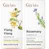 Ylang-Ylang Essential Oil for Diffuser & Rosemary Oil for Hair Set – Aromatherapy Grade Essential Oils Set – 2×0.34 fl oz – Gya Labs